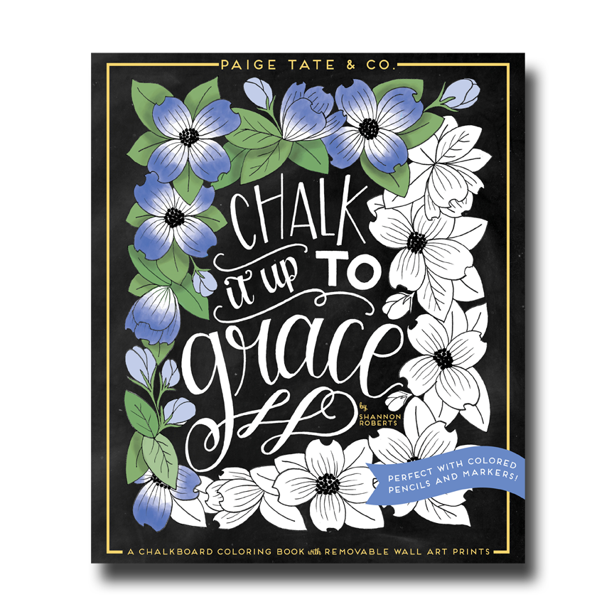 A Scritpure coloring book called Chalk It Up To Grace
