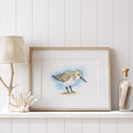 Framed artwork of a bird on a shelf with decorative items against a white wall.